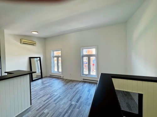 Overall view - 1809 Rue Ontario E., Montréal (Ville-Marie), QC - Indoor Photo Showing Other Room