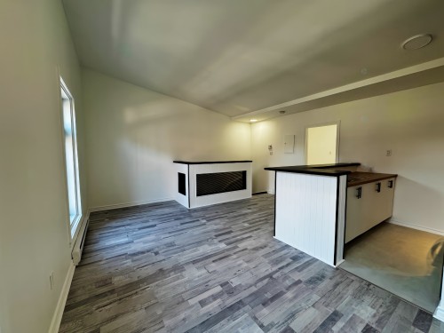 Overall view - 1809 Rue Ontario E., Montréal (Ville-Marie), QC - Indoor Photo Showing Other Room