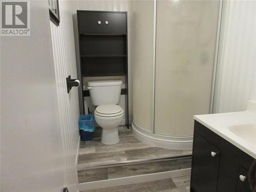 31B Main Street, Springdale, NL - Indoor Photo Showing Bathroom