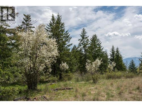 Lot C Phillips Road, Creston, BC 