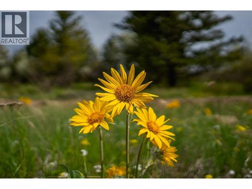 Lot C Phillips Road, Creston, BC 