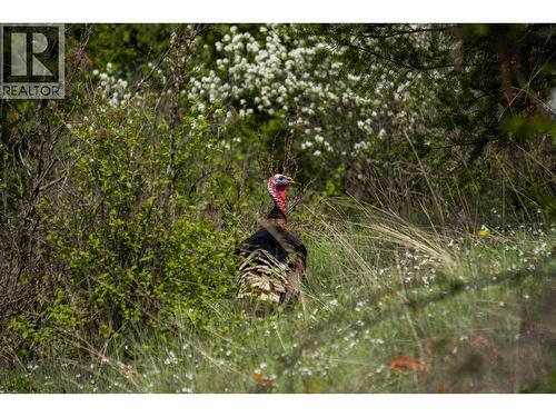 Lot C Phillips Road, Creston, BC 