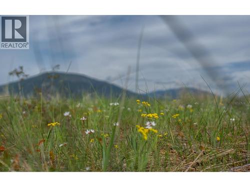 Lot C Phillips Road, Creston, BC 