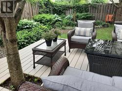 Backyard photo-Summer - 