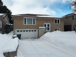 Main-441 Brimorton Drive  Toronto, ON M1H 2E4