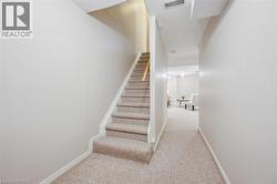 Stairs with carpet - 
