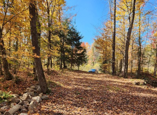 Other - Rue Des Salamandres, Gore, QC 