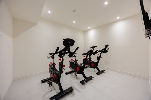 Salle d'exercice - 1606-360 Rue Mayor, Montréal (Ville-Marie), QC - Indoor Photo Showing Gym Room