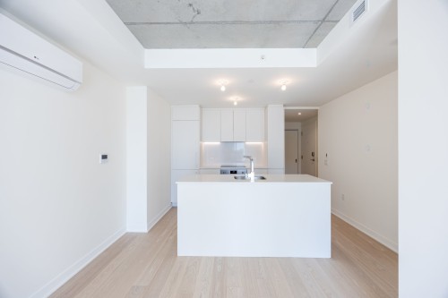 Intérieur - 1606-360 Rue Mayor, Montréal (Ville-Marie), QC - Indoor Photo Showing Kitchen With Double Sink