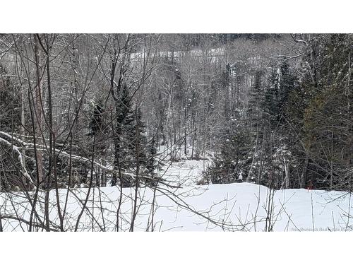 53 Back River Rd, Hampton, NB 