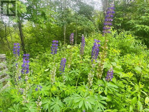 26 Main Road, Hare Bay, NL - Outdoor