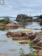 Naylors Head Attraction Hare Bay - 