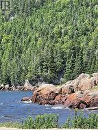 Hare Bay Park - 
