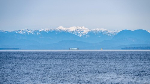 1426 Wilkinson Rd, Comox, BC 