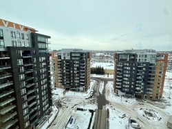 View - 
