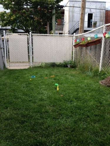 Cour - 1007 Av. Brown, Montréal (Verdun/Île-Des-Soeurs), QC - Outdoor