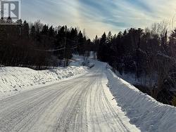 100 MAPLE ISLAND ROAD Whitestone (Ferrie), ON P0A 1G0