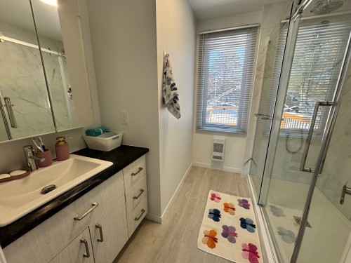 Salle de bains - 1844 Ch. Lakeshore, Clarenceville, QC - Indoor Photo Showing Bathroom