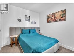 2nd lower level bedroom - 