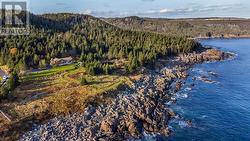 40 Cribbies Road Tors Cove, NL A0A 4A0