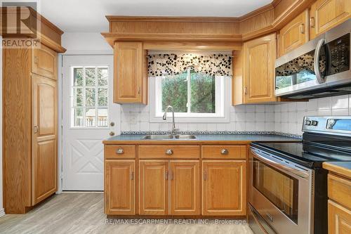 14 Niagara Street, Hamilton, ON - Indoor Photo Showing Kitchen With Double Sink