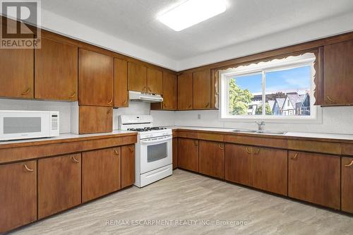14 Niagara Street, Hamilton, ON - Indoor Photo Showing Kitchen With Double Sink