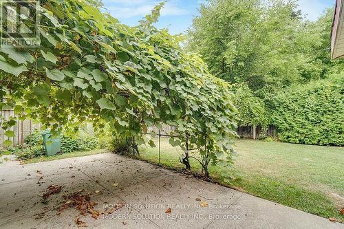 177 Eaglewood Boulevard, Mississauga, ON - Outdoor