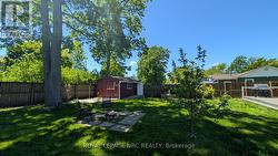 LUSH BACK YARD - 