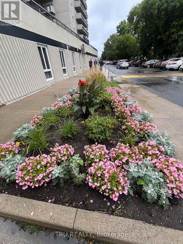 Building gardens. - Ph4 - 158A Mcarthur Avenue, Ottawa, ON - Outdoor
