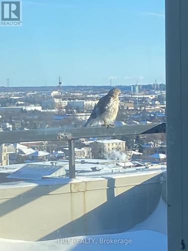 Ph4 - 158A Mcarthur Avenue, Ottawa, ON -  With View