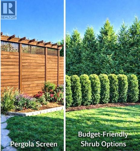 Two options for back property line -- could credit the buyer with $2500 for a privacy screen! - 47 Manor Drive, Kitchener, ON - Outdoor