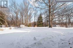 Large Lot: 81' x 192'  Ravine/Pear Orchard Behind - 