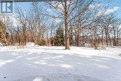 Back Yard - Lot Extends to Tree Line - 