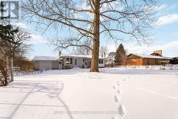 Back View Showing Roll-up Door of Garage - 
