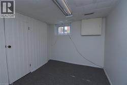 Below grade area with dark colored carpet and baseboards - 