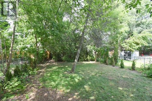 View of yard - 136 Glen Road, Hamilton, ON - Outdoor