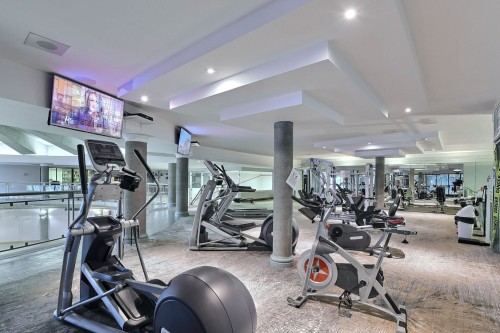 Exercise room - 103-4450 Prom. Paton, Laval (Chomedey), QC - Indoor Photo Showing Gym Room