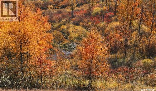 Sturgeon Valley Ranch, Shellbrook Rm No. 493, SK 