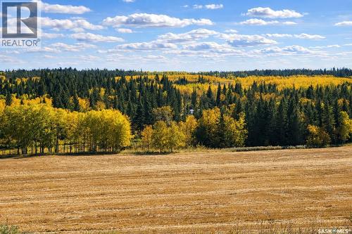 Sturgeon Valley Ranch, Shellbrook Rm No. 493, SK 