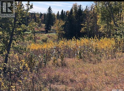 Sturgeon Valley Ranch, Shellbrook Rm No. 493, SK 