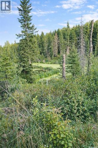 Sturgeon Valley Ranch, Shellbrook Rm No. 493, SK 