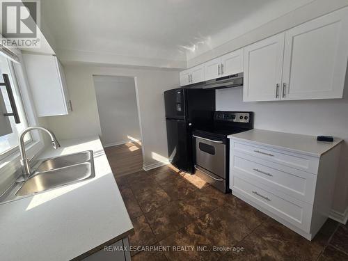 8199 Twenty Road E, Hamilton, ON - Indoor Photo Showing Kitchen With Double Sink