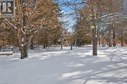 View of snowy yard - 