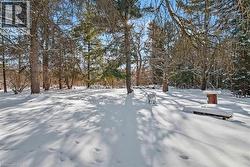 View of yard layered in snow - 