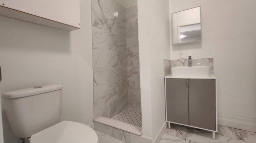 Salle de bains - 3835 Rue Rivard, Montréal (Le Plateau-Mont-Royal), QC - Indoor Photo Showing Bathroom