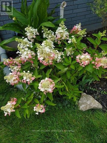 23 Stormont Drive, London South (South T), ON - Outdoor