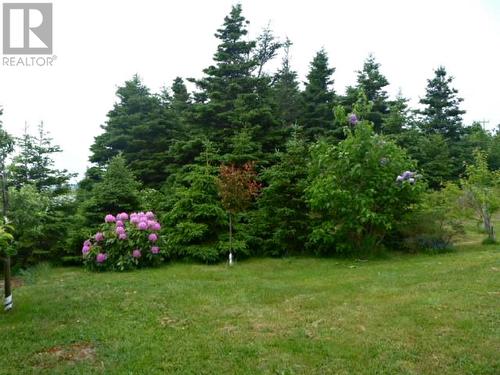 2 Main Highway, Kingston, NL - Outdoor