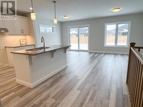 110 Styles Drive, St. Thomas, ON - Indoor Photo Showing Kitchen