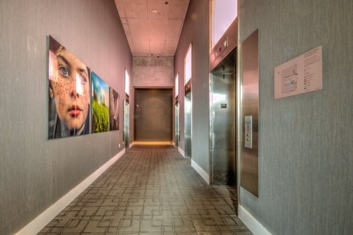 Ascenseur - 415-350 Boul. De Maisonneuve O., Montréal (Ville-Marie), QC - Indoor Photo Showing Other Room