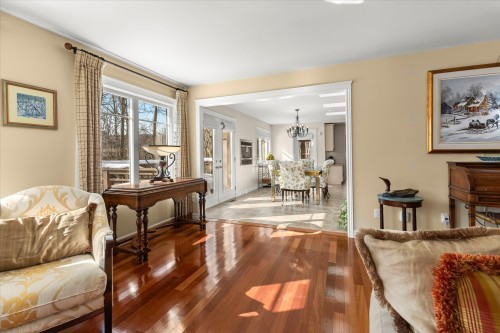 Salon - 12  - 16 Rue Appleglen, Hudson, QC - Indoor Photo Showing Living Room